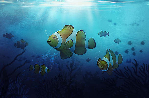 PSD 바다 여러마리 일러스트 사람없음 파란색 바닷속 수중 수중동물 산호 아쿠아리움 크라운피쉬 국내일러스트 동물 컬러 다수 어류 자포동물 수족관 파일형식