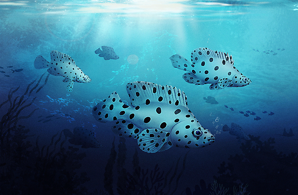 PSD 바다 여러마리 일러스트 사람없음 파란색 바닷속 수중 수중동물 아쿠아리움 팬더그루퍼 국내일러스트 동물 컬러 다수 어류 수족관 파일형식