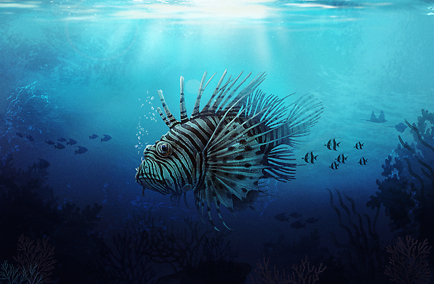 PSD 한마리 바다 일러스트 사람없음 파란색 바닷속 수중 수중동물 아쿠아리움 쏠배감펭 국내일러스트 동물 1 컬러 어류 수족관 파일형식