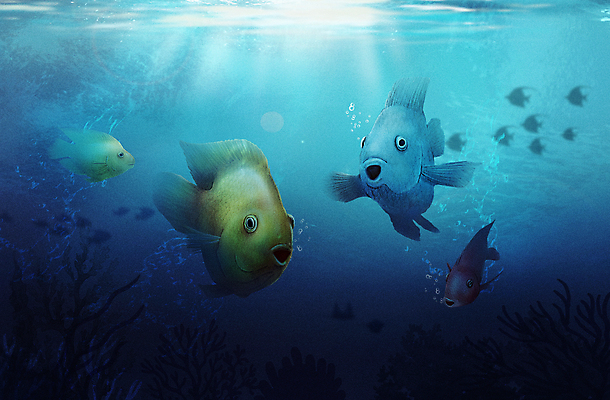 PSD 바다 여러마리 일러스트 사람없음 파란색 바닷속 수중 수중동물 아쿠아리움 혈앵무 국내일러스트 동물 컬러 다수 어류 수족관 파일형식