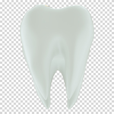 편집 편집이미지 누끼 사람없음 3D소스 3D 흰색 치아 디지털합성 치아모형 PNG 편집소스 컬러 소화기관 파일형식