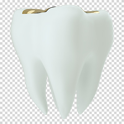 편집 편집이미지 누끼 사람없음 치료 3D소스 3D 치아 디지털합성 치아모형 PNG 치과진료 금니 편집소스 의학 진료 소화기관 파일형식