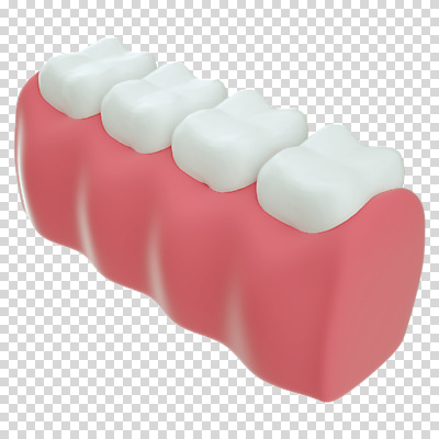 편집 편집이미지 누끼 사람없음 3D소스 3D 치아 디지털합성 치아모형 PNG 잇몸 편집소스 신체 소화기관 파일형식
