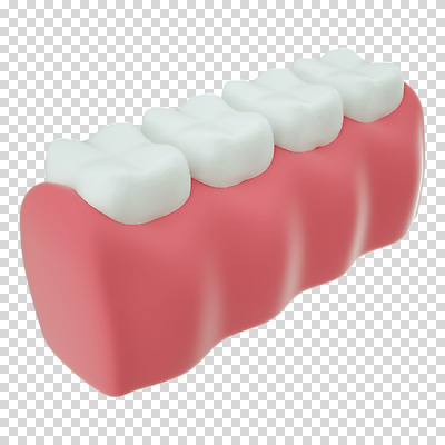편집 편집이미지 누끼 사람없음 3D소스 3D 치아 디지털합성 치아모형 PNG 잇몸 편집소스 신체 소화기관 파일형식