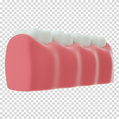 편집 편집이미지 누끼 사람없음 3D소스 3D 치아 디지털합성 치아모형 PNG 잇몸 편집소스 신체 소화기관 파일형식