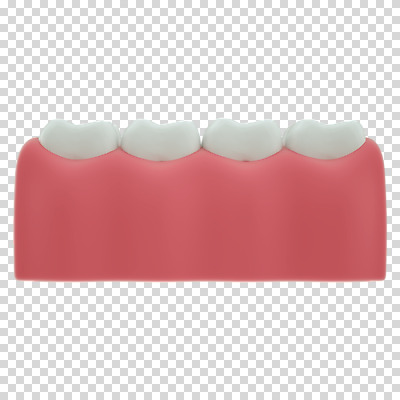 편집 편집이미지 누끼 사람없음 3D소스 3D 치아 디지털합성 치아모형 PNG 잇몸 편집소스 신체 소화기관 파일형식