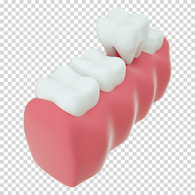 편집 편집이미지 누끼 사람없음 3D소스 3D 치아 디지털합성 치아모형 PNG 치과진료 발치 뽑기 잇몸 편집소스 신체 진료 소화기관 파일형식