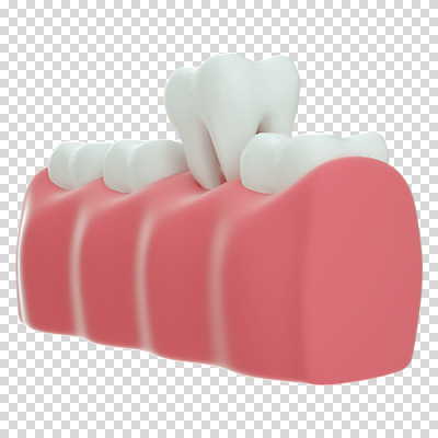 편집 편집이미지 누끼 사람없음 3D소스 3D 치아 디지털합성 치아모형 PNG 치과진료 발치 뽑기 잇몸 편집소스 신체 진료 소화기관 파일형식