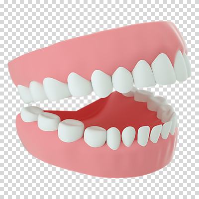 편집 편집이미지 누끼 사람없음 3D소스 3D 치아 구강 디지털합성 치아모형 PNG 편집소스 입 소화기관 파일형식