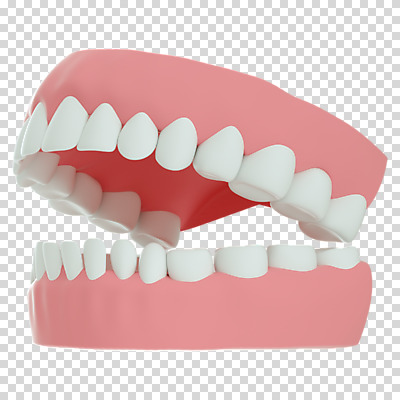 편집 편집이미지 누끼 사람없음 3D소스 3D 치아 구강 디지털합성 치아모형 PNG 편집소스 입 소화기관 파일형식