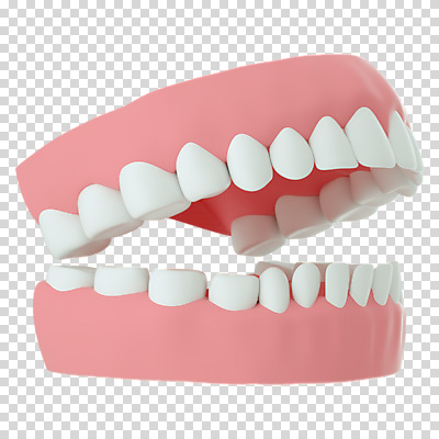 편집 편집이미지 누끼 사람없음 3D소스 3D 치아 구강 디지털합성 치아모형 PNG 편집소스 입 소화기관 파일형식