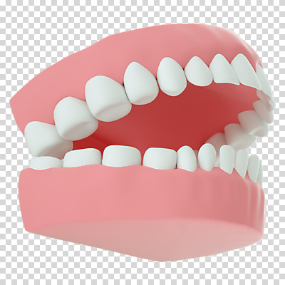 편집 편집이미지 누끼 사람없음 3D소스 3D 치아 구강 디지털합성 치아모형 PNG 편집소스 입 소화기관 파일형식