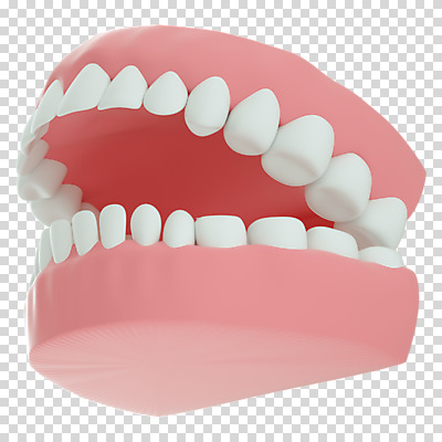 편집 편집이미지 누끼 사람없음 3D소스 3D 치아 구강 디지털합성 치아모형 PNG 편집소스 입 소화기관 파일형식