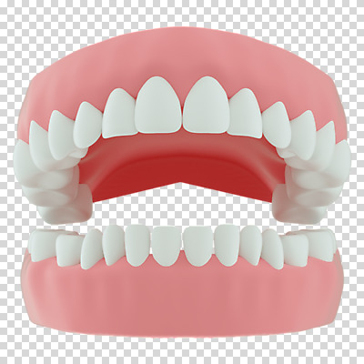 편집 편집이미지 누끼 사람없음 3D소스 3D 치아 구강 디지털합성 치아모형 PNG 편집소스 입 소화기관 파일형식