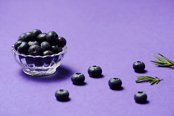 포토 JPG 스튜디오촬영 음식 실내 사람없음 보라색 블루베리 컬러푸드 로즈메리 국내포토 컬러 과일 내부 허브 파일형식