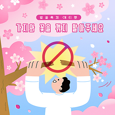 남자 꽃잎 분홍색 일러스트 안내 한명 상반신 성인 봄 손상 금지 벚꽃 예절 잡기 매너 벚꽃축제 성인남자한명만 봄축제 꺾음 국내일러스트 AI파일 1 계절 꽃 컬러 컨셉 모션 사람 축제 꽃축제 남자한명만 성인남자만 파일형식 벡터