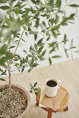 포토 JPG 화분 커피 백그라운드 의자 휴식 실내 사람없음 아웃포커스 하이앵글 머그컵 편지 오브젝트 국내포토 음료 뷰포인트 가구 컨셉 촬영기법 내부 컵 파일형식