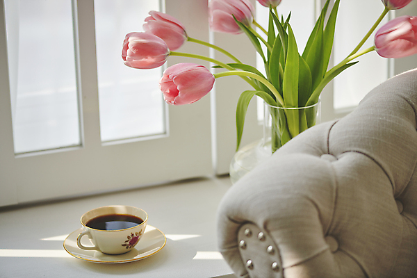 포토 JPG 커피 백그라운드 휴식 실내 사람없음 빛 소파 튤립 커피잔 오브젝트 국내포토 꽃 음료 컨셉 의자 잔 내부 파일형식