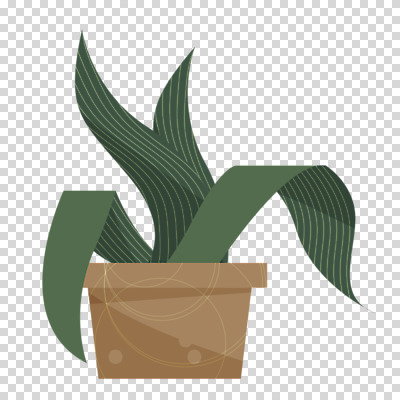 편집이미지 화분 잎 자연 누끼 사람없음 PNG 식물 생태계 파일형식