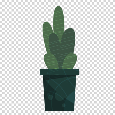 편집이미지 화분 잎 자연 누끼 사람없음 초록색 PNG 식물 컬러 생태계 파일형식