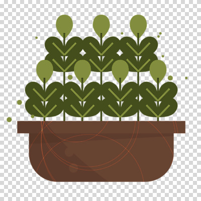 식물 편집이미지 화분 잎 누끼 사람없음 PNG 파일형식