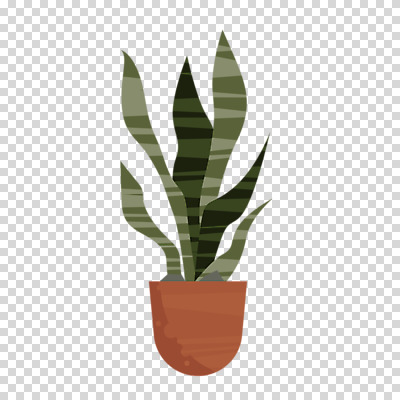 편집이미지 화분 잎 누끼 사람없음 PNG 산사베리아 산세베리아 식물 파일형식
