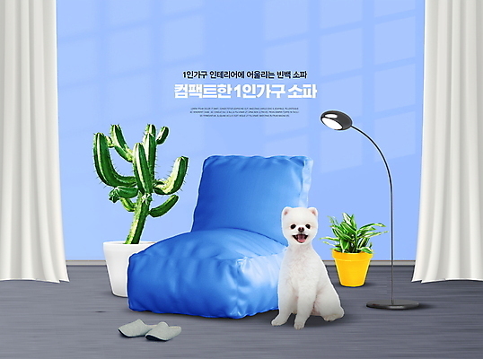 PSD 편집이미지 한마리 화분 가구 조명 슬리퍼 선인장 실내 사람없음 파란색 인테리어 소파 스탠드 커튼 강아지 자취 빈백 이미지편집 식물 1 디자인 컬러 생활용품 신발 의자 내부 반려동물 개 파일형식