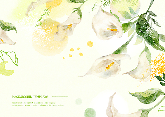 PSD 백그라운드 일러스트 수채화 사람없음 연두색 카라 국내일러스트 꽃 초록색 파일형식