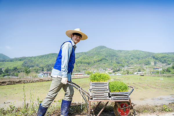 포토 JPG 주간 전신 남자 농업 한명 미소 20대 성인 야외 옆모습 걷기 한국인 농촌 농부 모내기 외발수레 성인남자한명만 청년농부 국내포토 여주시 자연요소 직업 1 산업 뷰포인트 모션 표정 사람 동양인 청년 수레 시골 경기도 남자한명만 성인남자만 파일형식