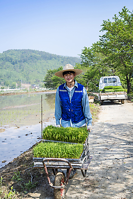 포토 JPG 주간 전신 남자 농업 한명 미소 20대 성인 야외 앞모습 한국인 농촌 잡기 농부 모내기 외발수레 성인남자한명만 청년농부 국내포토 여주시 자연요소 직업 1 산업 뷰포인트 모션 표정 사람 동양인 청년 수레 시골 경기도 남자한명만 성인남자만 파일형식