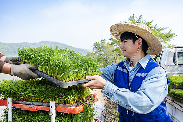포토 JPG 주간 손 남자 농업 한명 미소 들기 상반신 20대 성인 야외 옆모습 신체부위 한국인 농촌 운반 농부 주기 모내기 성인남자한명만 청년농부 국내포토 여주시 자연요소 직업 1 산업 뷰포인트 모션 표정 사람 동양인 청년 시골 경기도 남자한명만 성인남자만 파일형식