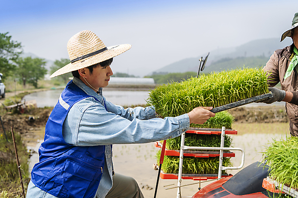 포토 JPG 주간 남자 농업 들기 상반신 20대 성인 야외 두명 옆모습 한국인 농촌 운반 농부 주기 모내기 성인만 청년농부 국내포토 여주시 자연요소 직업 산업 뷰포인트 모션 사람 동양인 청년 시골 경기도 파일형식