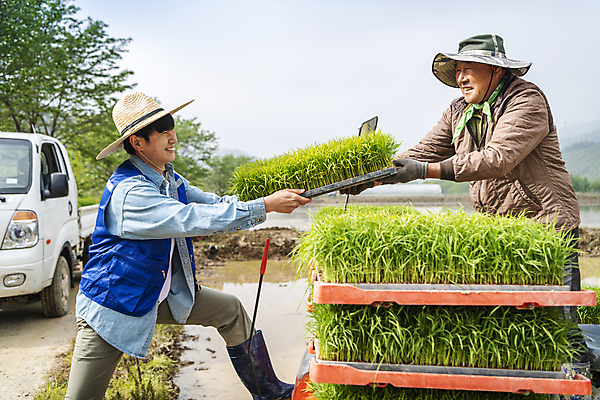 포토 JPG 주간 전신 남자 농업 웃음 들기 상반신 20대 성인 야외 두명 옆모습 한국인 농촌 운반 농부 주기 모내기 성인남자만 청년농부 국내포토 여주시 자연요소 직업 산업 뷰포인트 모션 표정 사람 동양인 청년 시골 경기도 남자만 성인만 파일형식