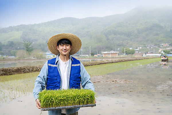 포토 JPG 주간 남자 농업 한명 미소 들기 상반신 20대 성인 야외 앞모습 한국인 농촌 농부 모내기 성인남자한명만 청년농부 국내포토 여주시 자연요소 직업 1 산업 뷰포인트 모션 표정 사람 동양인 청년 시골 경기도 남자한명만 성인남자만 파일형식