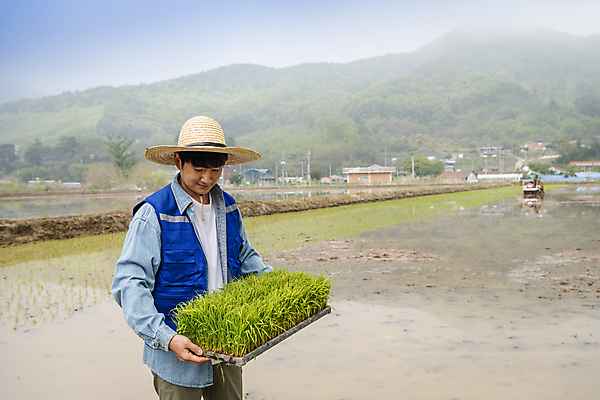 포토 JPG 주간 남자 농업 한명 들기 상반신 20대 성인 야외 옆모습 한국인 농촌 농부 모내기 성인남자한명만 내려보기 청년농부 국내포토 여주시 자연요소 직업 1 산업 뷰포인트 모션 사람 동양인 청년 시골 경기도 남자한명만 성인남자만 파일형식