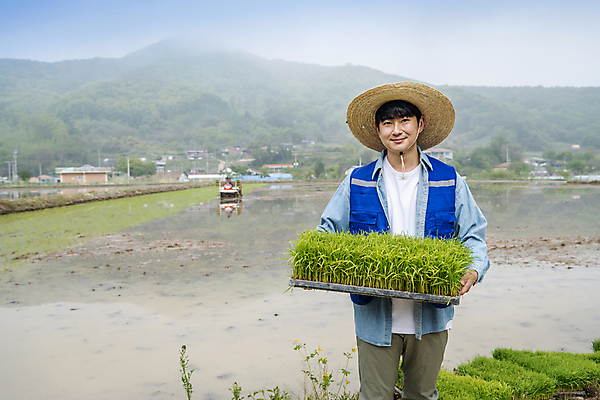포토 JPG 주간 남자 농업 한명 미소 들기 상반신 20대 성인 야외 앞모습 한국인 농촌 농부 모내기 성인남자한명만 청년농부 국내포토 여주시 자연요소 직업 1 산업 뷰포인트 모션 표정 사람 동양인 청년 시골 경기도 남자한명만 성인남자만 파일형식