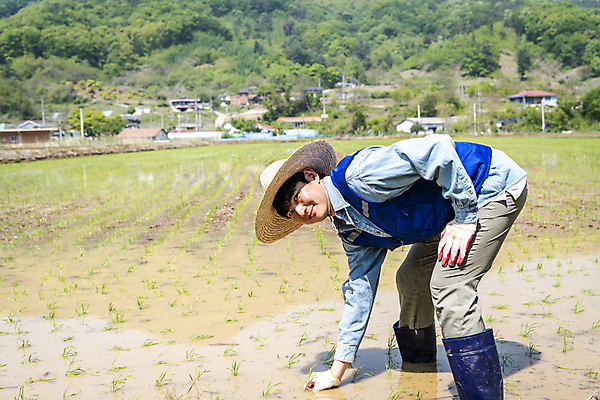 포토 JPG 주간 전신 응시 남자 농업 숙이기 한명 미소 20대 성인 야외 옆모습 한국인 농촌 농부 모내기 심기 성인남자한명만 청년농부 국내포토 여주시 자연요소 직업 1 시선 산업 뷰포인트 포즈 모션 표정 사람 동양인 청년 시골 경기도 남자한명만 성인남자만 파일형식