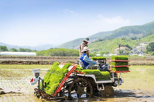포토 JPG 주간 남자 농업 상반신 20대 성인 야외 두명 옆모습 한국인 농촌 농부 승차 모내기 이앙기 성인남자만 청년농부 국내포토 여주시 자연요소 직업 산업 뷰포인트 모션 사람 동양인 청년 시골 농기계 경기도 남자만 성인만 파일형식