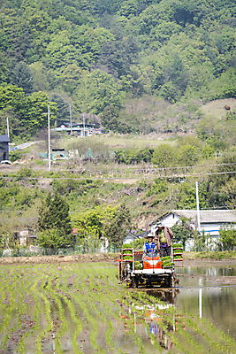 포토 JPG 주간 남자 농업 풍경 상반신 20대 성인 야외 두명 앞모습 한국인 농촌 농부 승차 모내기 이앙기 성인남자만 청년농부 국내포토 여주시 자연요소 직업 산업 뷰포인트 모션 사람 동양인 청년 시골 농기계 경기도 남자만 성인만 파일형식