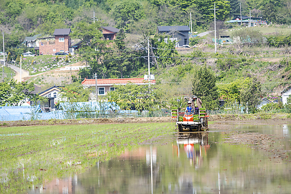 포토 JPG 주간 남자 농업 풍경 상반신 20대 성인 야외 두명 앞모습 한국인 농촌 농부 승차 모내기 이앙기 성인남자만 청년농부 국내포토 여주시 자연요소 직업 산업 뷰포인트 모션 사람 동양인 청년 시골 농기계 경기도 남자만 성인만 파일형식