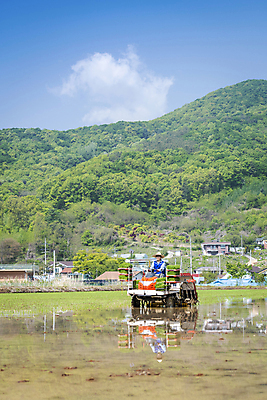 포토 JPG 주간 남자 농업 하늘 산 한명 상반신 20대 성인 야외 앞모습 한국인 농촌 농부 승차 모내기 이앙기 성인남자한명만 청년농부 국내포토 여주시 자연요소 직업 1 산업 뷰포인트 모션 사람 동양인 청년 시골 농기계 경기도 남자한명만 성인남자만 파일형식