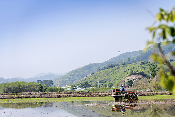 포토 JPG 주간 전신 남자 농업 하늘 한명 풍경 20대 성인 야외 옆모습 한국인 농촌 농부 소프트포커스 모내기 이앙기 성인남자한명만 청년농부 국내포토 여주시 자연요소 직업 1 산업 뷰포인트 촬영기법 사람 동양인 청년 시골 농기계 경기도 남자한명만 성인남자만 파일형식