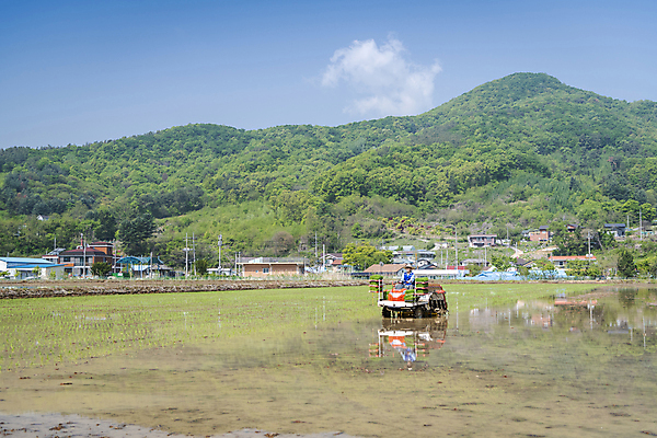 포토 JPG 주간 전신 남자 농업 산 한명 풍경 20대 성인 야외 옆모습 한국인 농촌 농부 모내기 이앙기 성인남자한명만 청년농부 국내포토 여주시 자연요소 직업 1 산업 뷰포인트 사람 동양인 청년 시골 농기계 경기도 남자한명만 성인남자만 파일형식