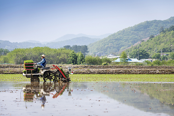 포토 JPG 주간 전신 남자 농업 한명 풍경 20대 성인 야외 옆모습 반사 한국인 농촌 농부 승차 모내기 이앙기 성인남자한명만 청년농부 국내포토 여주시 자연요소 직업 1 산업 뷰포인트 모션 사람 동양인 청년 시골 농기계 경기도 남자한명만 성인남자만 파일형식