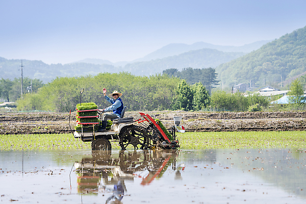 포토 JPG 주간 전신 남자 농업 한명 20대 성인 야외 옆모습 반사 손들기 한국인 농촌 농부 승차 손인사 모내기 이앙기 성인남자한명만 청년농부 국내포토 여주시 자연요소 직업 1 산업 뷰포인트 모션 사람 동양인 청년 시골 인사 농기계 경기도 남자한명만 성인남자만 파일형식