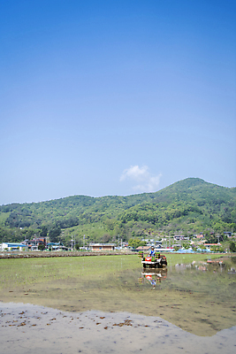 포토 JPG 주간 남자 농업 하늘 산 한명 풍경 상반신 20대 성인 야외 옆모습 한국인 농촌 농부 모내기 이앙기 성인남자한명만 청년농부 국내포토 여주시 자연요소 직업 1 산업 뷰포인트 사람 동양인 청년 시골 농기계 경기도 남자한명만 성인남자만 파일형식