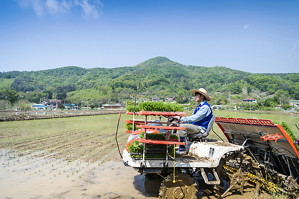 포토 JPG 주간 전신 남자 농업 한명 20대 성인 야외 옆모습 한국인 농촌 농부 승차 모내기 이앙기 성인남자한명만 청년농부 국내포토 여주시 자연요소 직업 1 산업 뷰포인트 모션 사람 동양인 청년 시골 농기계 경기도 남자한명만 성인남자만 파일형식