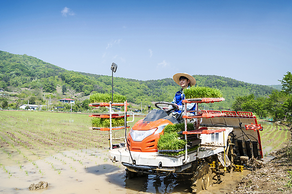 포토 JPG 주간 남자 농업 한명 미소 상반신 20대 성인 야외 옆모습 한국인 농촌 농부 승차 모내기 이앙기 성인남자한명만 청년농부 국내포토 여주시 자연요소 직업 1 산업 뷰포인트 모션 표정 사람 동양인 청년 시골 농기계 경기도 남자한명만 성인남자만 파일형식