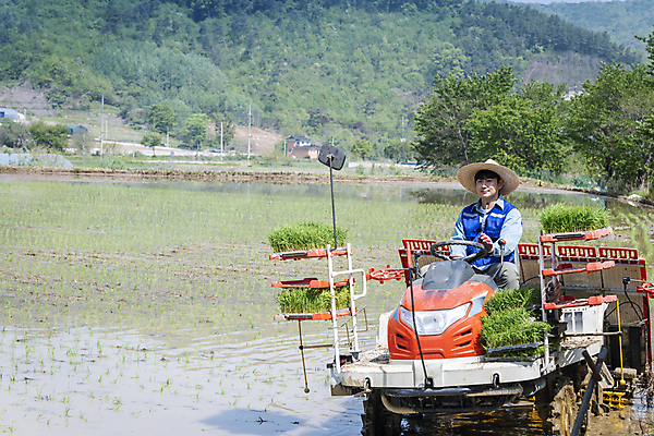 포토 JPG 주간 남자 농업 한명 상반신 20대 성인 야외 옆모습 운전 한국인 농촌 농부 승차 모내기 이앙기 성인남자한명만 청년농부 국내포토 여주시 자연요소 직업 1 산업 뷰포인트 모션 사람 동양인 청년 시골 농기계 경기도 남자한명만 성인남자만 파일형식