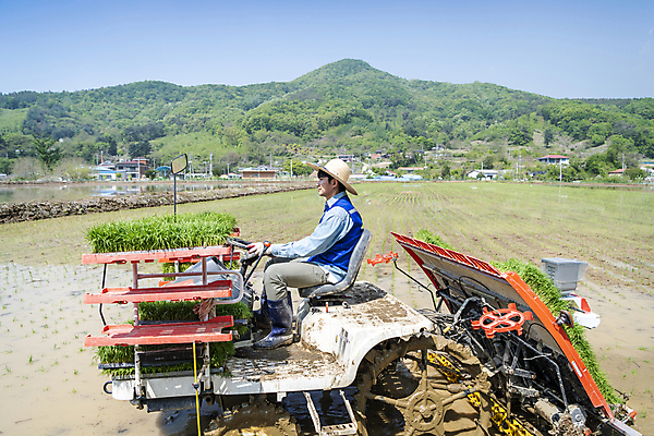 포토 JPG 주간 전신 남자 농업 한명 앉기 20대 성인 야외 옆모습 운전 한국인 농촌 농부 승차 모내기 이앙기 성인남자한명만 청년농부 국내포토 여주시 자연요소 직업 1 산업 뷰포인트 모션 사람 동양인 청년 시골 농기계 경기도 남자한명만 성인남자만 파일형식